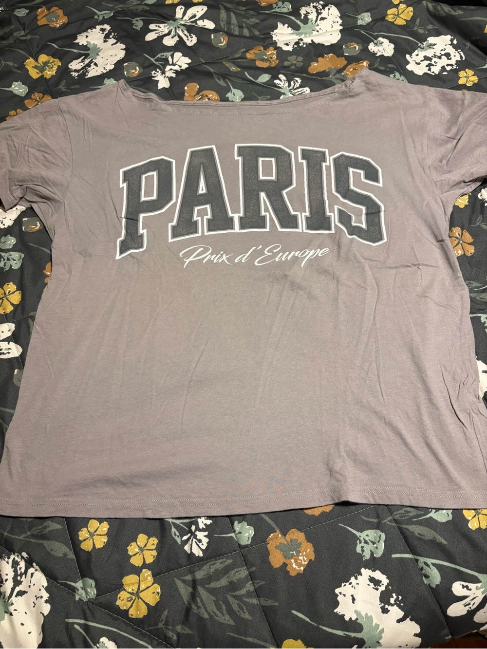 Hollister Paris Scoop Neck Tee - Mauve Gray